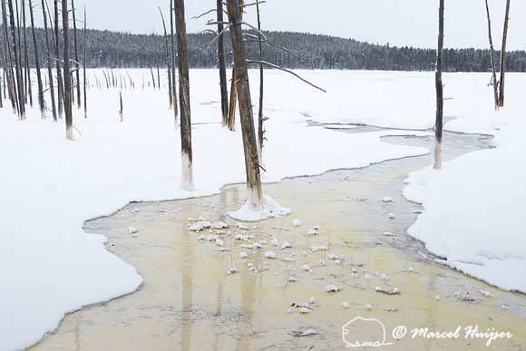 Along Fountain Paint Pot trail in winter, Yellowstone National P