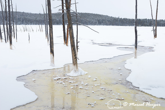 Along Fountain Paint Pot trail in winter, Yellowstone National P