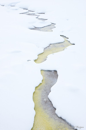 Along Fountain Paint Pot trail in winter, Yellowstone National P