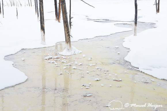 Along Fountain Paint Pot trail in winter, Yellowstone National P