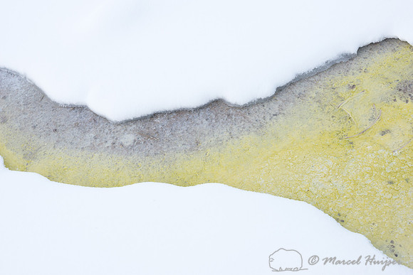 Along Fountain Paint Pot trail in winter, Yellowstone National P
