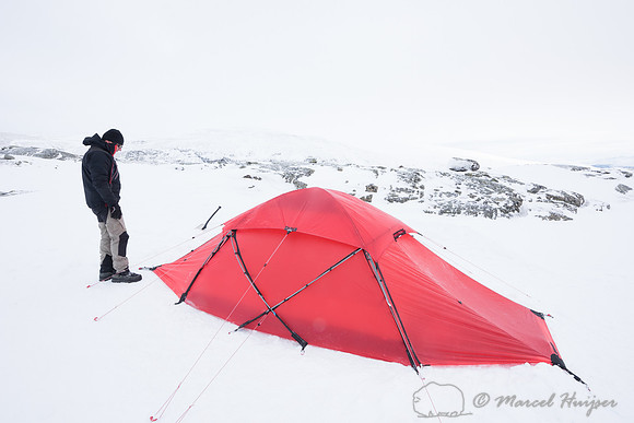 Niels Kooijman and Marcel Huijser pitch the tent, Dovrefjell, No