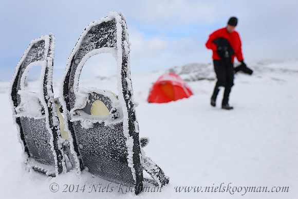 Marcel Huijser in Dovrefjell National Park, Norway