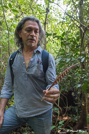 Jorge Carlos Trejo Torres and a feather of a bird, Quintana Roo,