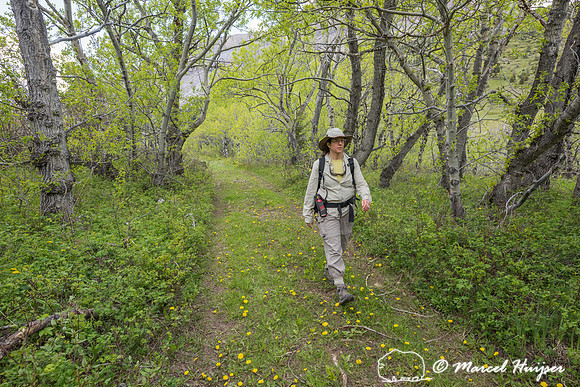 Bethanie Walder hiking, Montana, USA