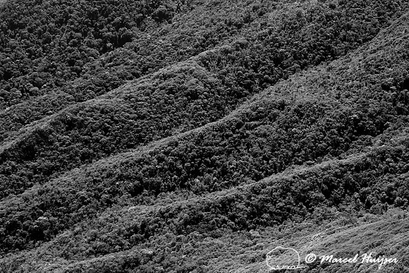 Forested ridges, Serra Fina (a section of Serra da Mantiqueira), near Passa Quatro, Minas Gerais, Brazil
