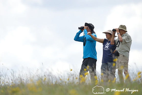 Marcello (guide from Canastra 4x4), Bethanie Walder and Piet Huijser spot a greater rhea, Parque Nacional da Serra da Canastra, Minas Gerais, Brazil