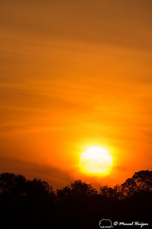 Sunset, Rio Negro, Pantanal, Mato Grosso do Sul, Brazil