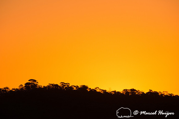Sunset in the cerrado, Parque Nacional da Chapada dos Veadeiros,