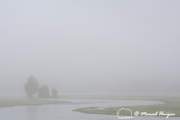 Gibbon River in morning fog in spring, Yellowstone National Park, Wyoming, USA
