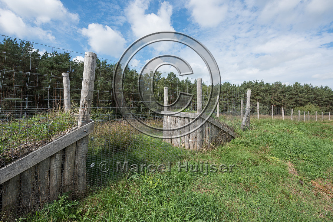 Wildlife fence and jump-out along A28 motorway, near Spier, Dren