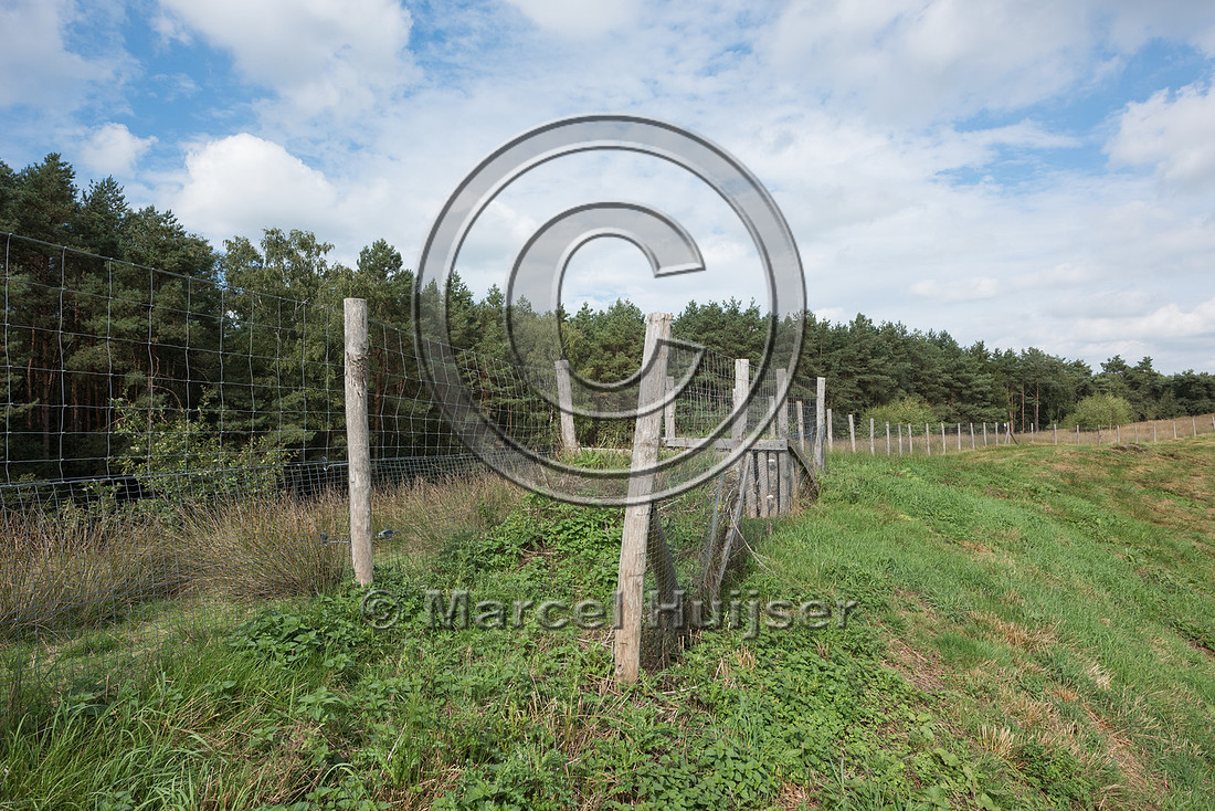 Wildlife fence and jump-out along A28 motorway, near Spier, Dren