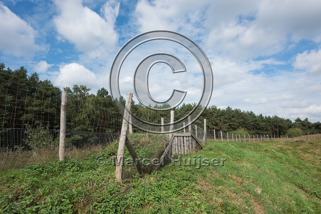 Wildlife fence and jump-out along A28 motorway, near Spier, Dren