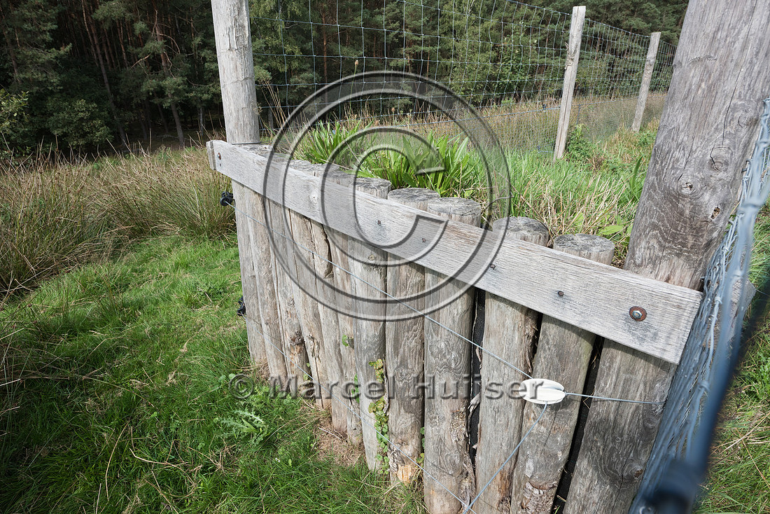 Wildlife fence and jump-out along A28 motorway, near Spier, Dren