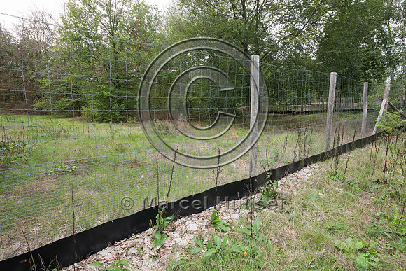 Wildlife fence for large and medium mammal species, as well as a