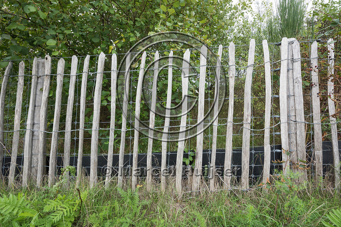 Wildlife fence for large and medium mammal species, as well as a