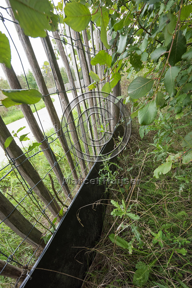 Wildlife fence for large and medium mammal species, as well as a