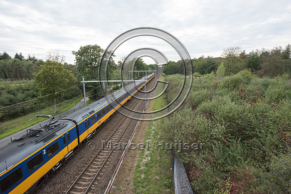 Wildlife overpass across railroad tracks, Soest, The Netherlands
