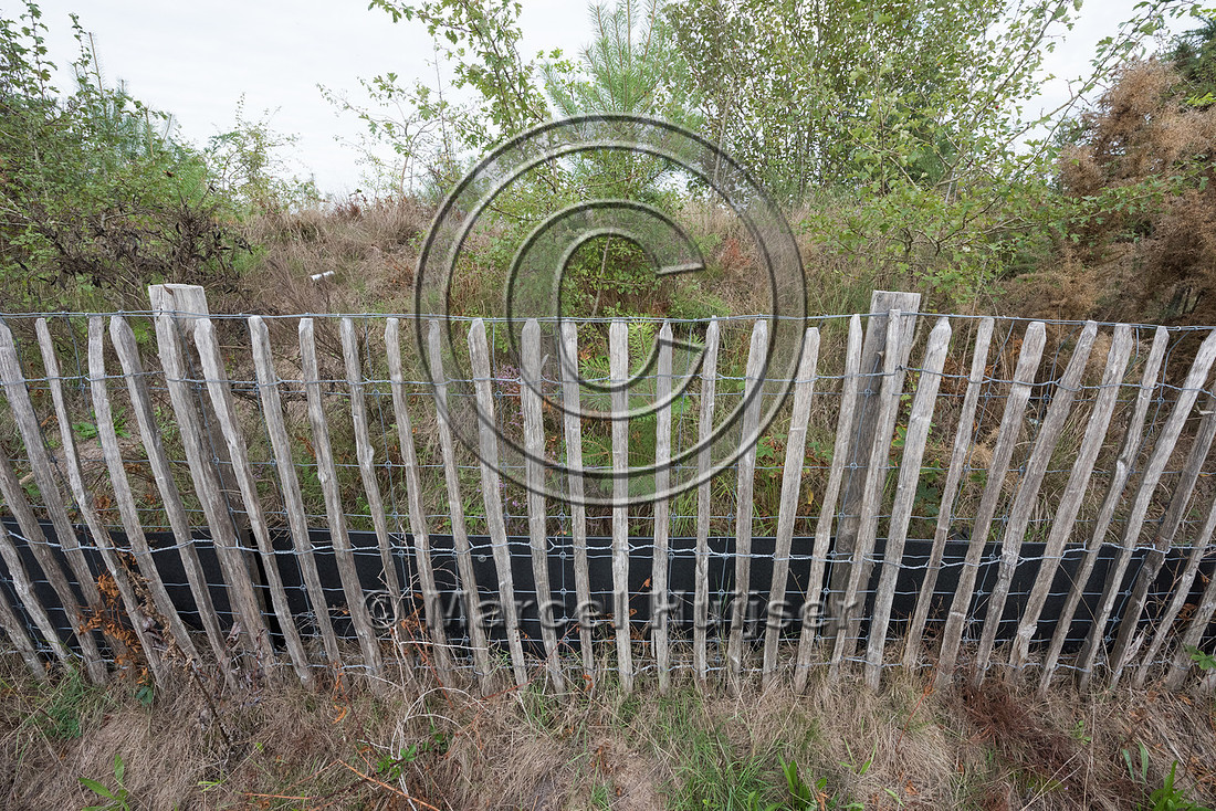 Wildlife fence for large and medium mammal species on top of ove