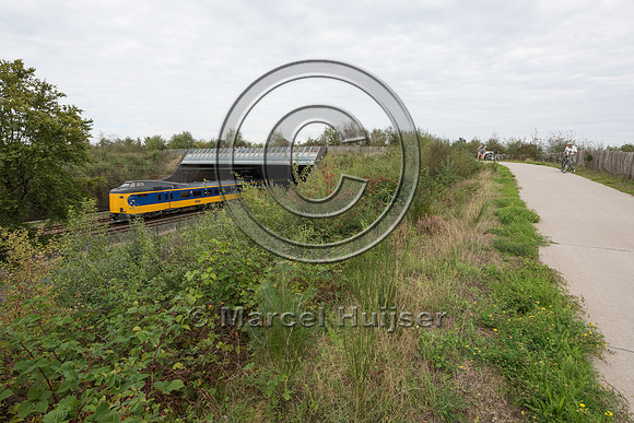 Hiking and biking trail combined with wildlife overpass across r