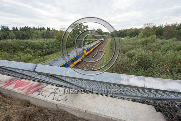Wildlife overpass across railroad tracks, Soest, The Netherlands