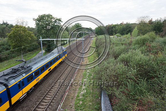 Wildlife overpass across railroad tracks, Soest, The Netherlands