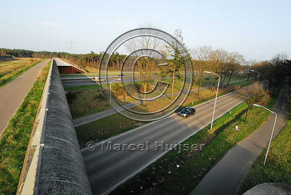 Multifunctional overpass (wildlife and bicycle pedestrian path) Slabroek, about 15 m wide, across A50 motorway, north of Uden, The Netherlands