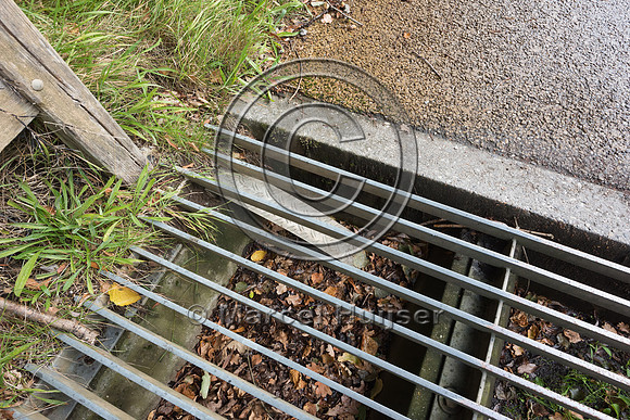 Cattle guard and escape ramp from pit for small animals near eco