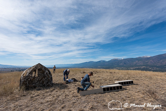 The release boxes, MPG ranch, in preparation of the reintroducti