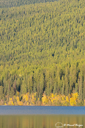 Fall colors, Glacier National Park, Montana