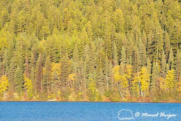 Fall colors, Glacier National Park, Montana