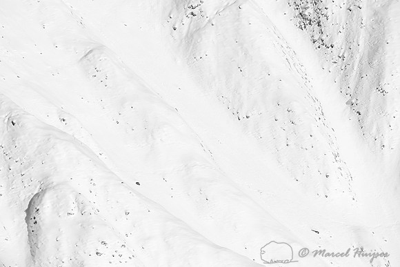 Snowy slope at Tower Falls, Yellowstone National Park, Wyoming