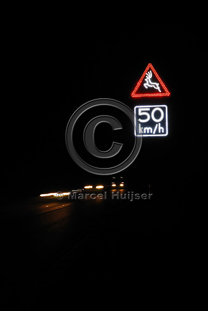Animal detection system at night, Harderwijk, The Netherlands