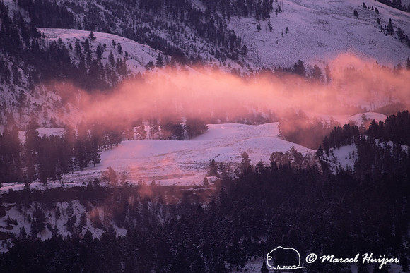 First sun light on icy fog, Yellowstone National Park, Wyoming