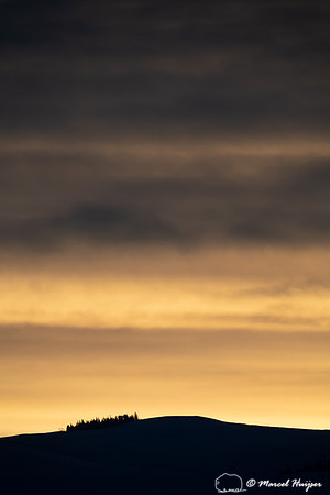 Sunrise near Floating Island Lake, Yellowstone National Park, Wy