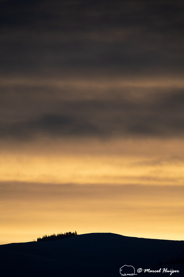 Sunrise near Floating Island Lake, Yellowstone National Park, Wy