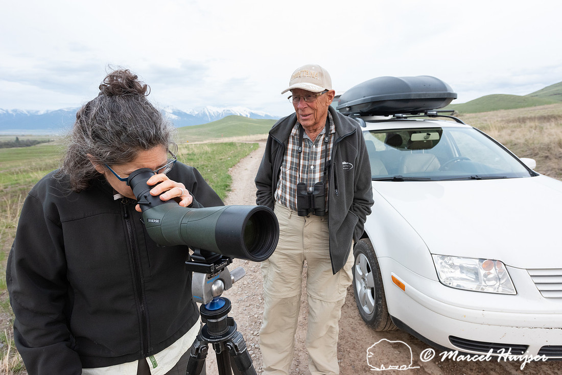 Bethanie Walder and Piet Huijser spotting black bears, National