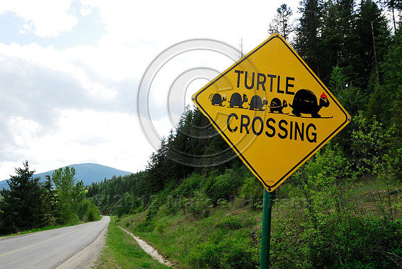 Turtle crossing warning sign, near Creston, British Columbia, Canada. Someone made the turtles different colored hats  and attached them to the sign.