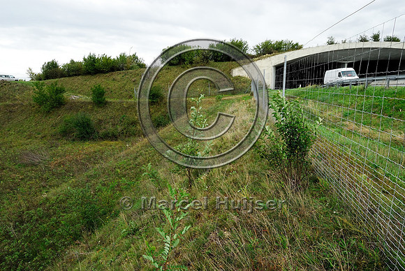 Wildlife fence and multifunctional overpass (wildlife and farm road, about 100 m wide), across A4 motorway, Parndorf, Austria