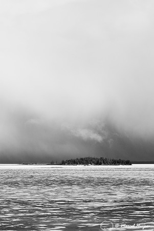 Stevenson Island in a thawing Yellowstone Lake, Wyoming, USA