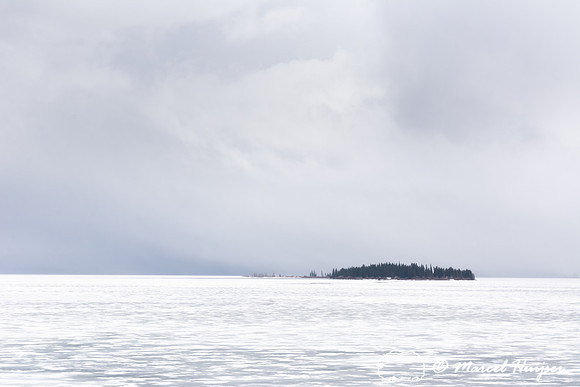 Stevenson Island in a thawing Yellowstone Lake, Wyoming, USA