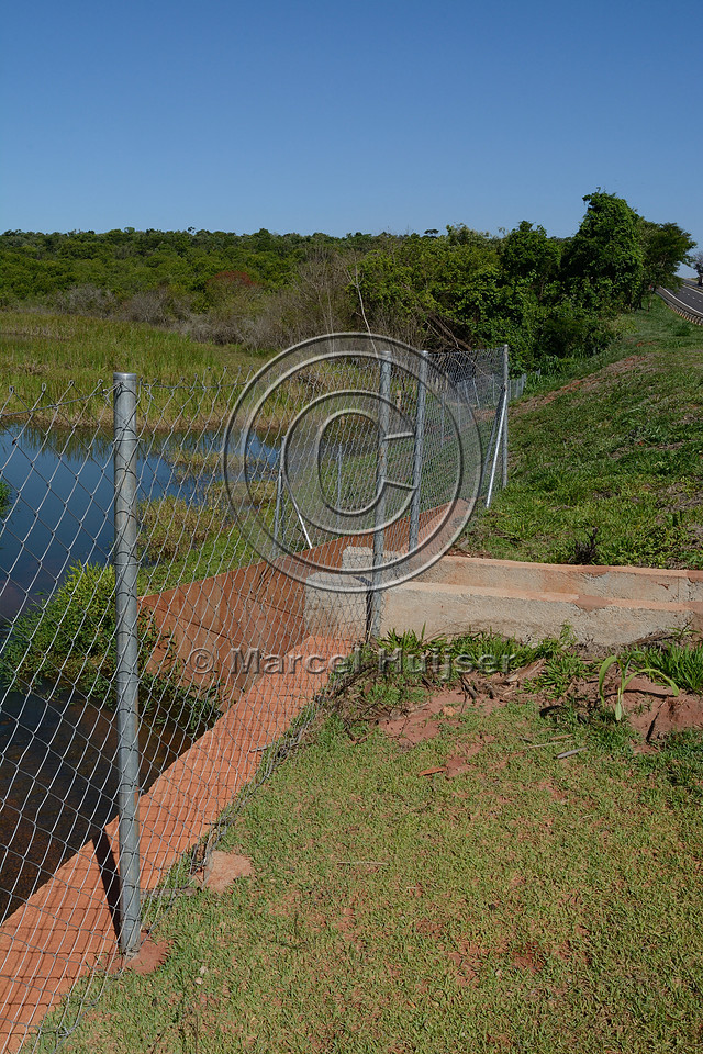 Drainage from road under wildlife fence SP-270 about 70 km south east of Presidente Prudente, São Paulo, Brazil