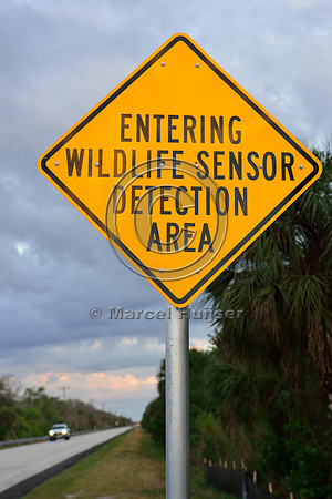 Animal detection system warning sign, Tamiami Trail, US Hwy 41, Florida, USA