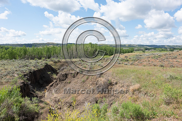 Stream erosion and  incision, Montana, USA