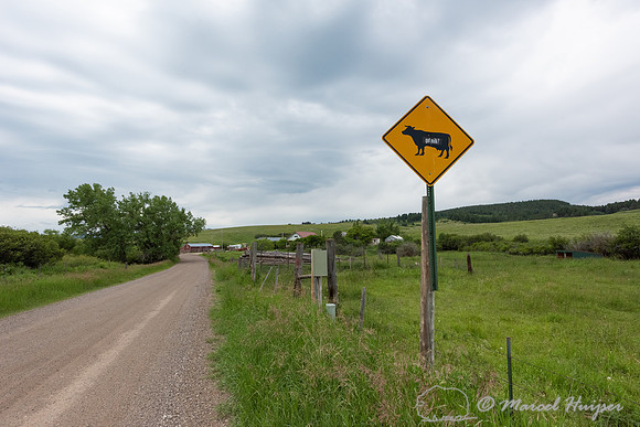 Dirt road and farm, Montana, USA