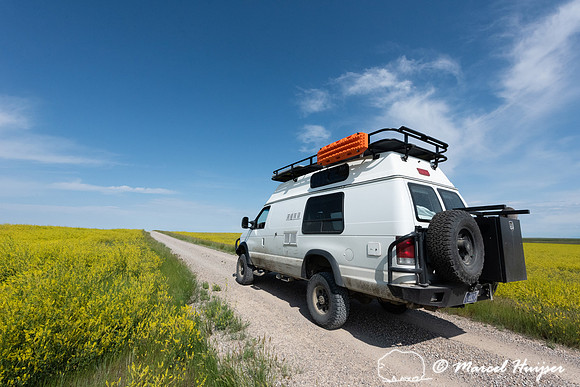 Camper van with Yellow Sweetclover (Melilotus officinalis) (non-