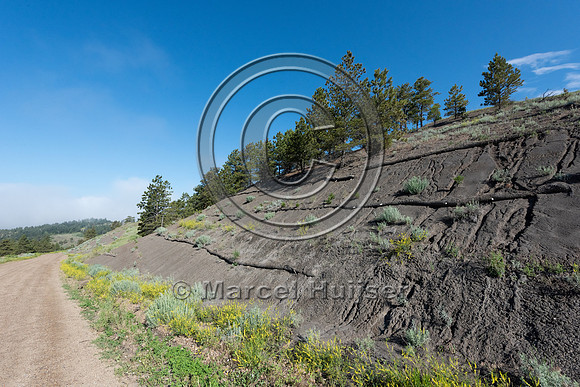 Erosion control on a slope adjacent to a dirt road, Montana, USA