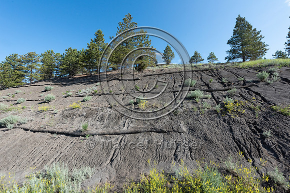 Erosion control on a slope adjacent to a dirt road, Montana, USA