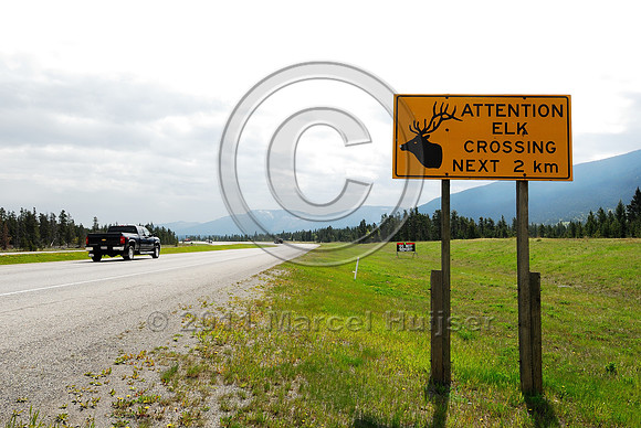Wildlife warning sign, Attention Elk crossing Next 2 km, AB