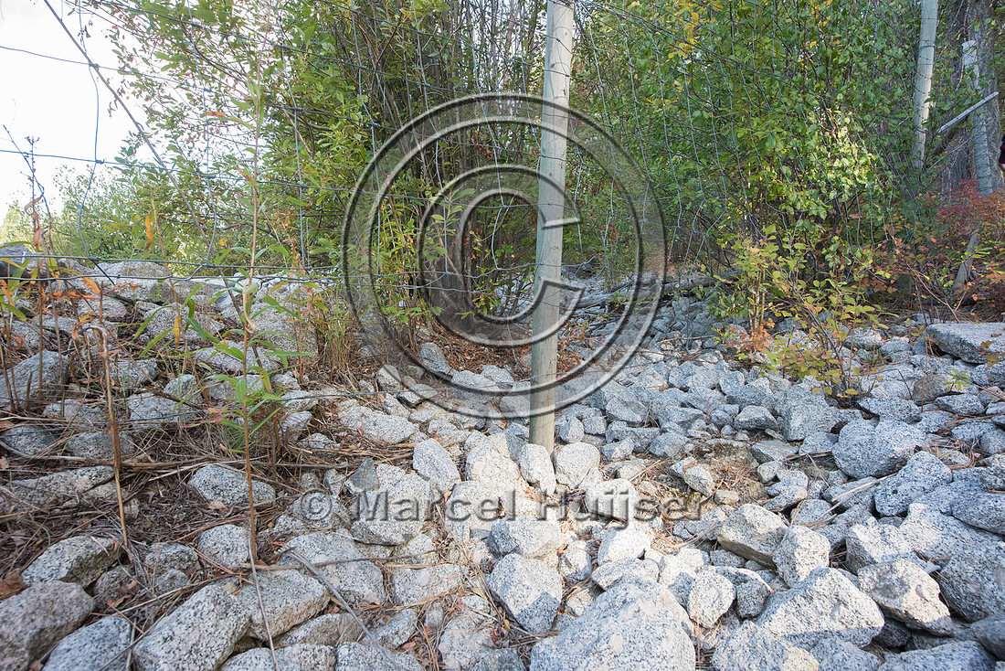 Gap under a wildlife fence, US Hwy 95, Bonners Ferry, Idaho, USA